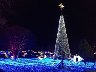 IMG_1853.JPG